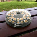 30 count disposable takeout deviled egg tray on picnic table