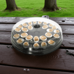 Deviled egg container with 30 cells disposable takeout container