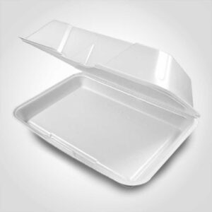 Styrofoam Container with hinged lid