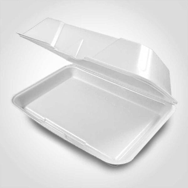 Styrofoam Container with hinged lid