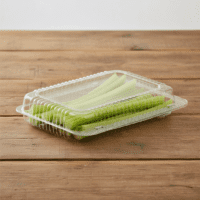 Shallow Utility Take Out Container 9.375" x 6.75" x 2.19" SLP30 - 300/case