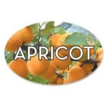 Apricot Flavor Label with Apricots in background