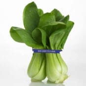Bok Choy Twist Ties on bok choy