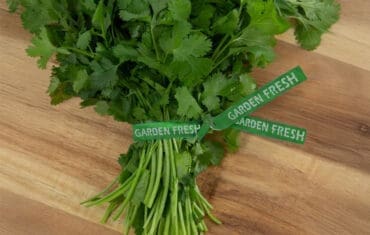 Garden Fresh Twist Ties in use with green ties on table