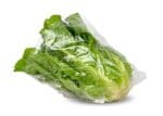 Vented Lettuce bag with lettuce inside PP-11X8.25X3.5