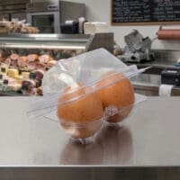 Double Egg Container - 840/case
