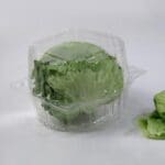 Hinged lettuce container with lettuce