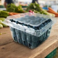 1 Pint Vented Clamshell Container - 516/case