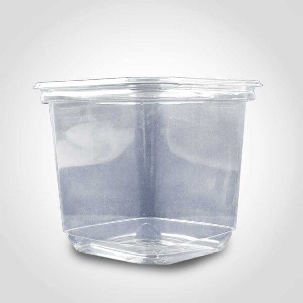 Deli Container Square PET Plastic 12oz