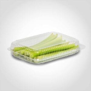 Shallow Utility Take Out Container 9.375 x 6.75 x 2.19 inches