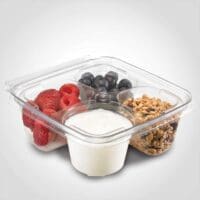 Snackware 4 compartment Take Out Containers