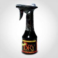 Mannheim Steamroller Mesquite Bry