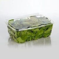 32 oz. Tamper Evident Hinged - 240 pack (261514)