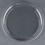 Deli Container Lid - 500 Pack (261183)