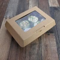 ReadyFresh Medium To Go Container with Window