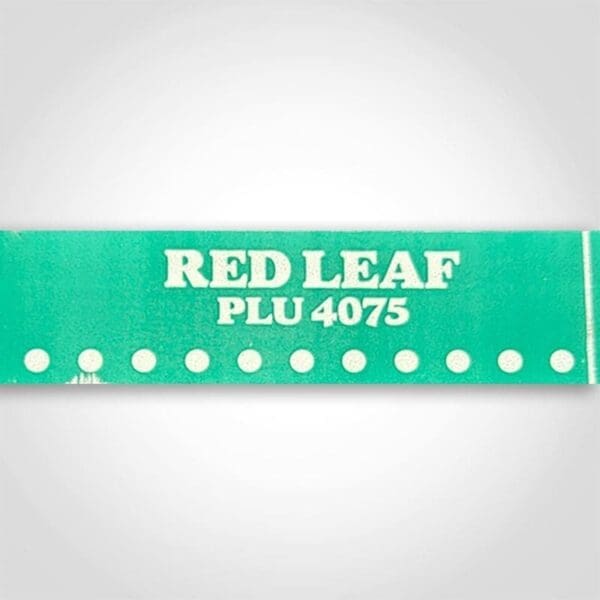 Red Leaf Lettuce Tape with PLU4075 - Image 3