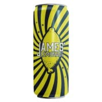 James Lemonade with Mint 16oz 24 Pack – Refreshing Mint Lemonade Drink