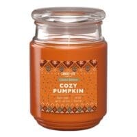 18 oz. Single Wick Cozy Pumpkin Candle - 4 PACK