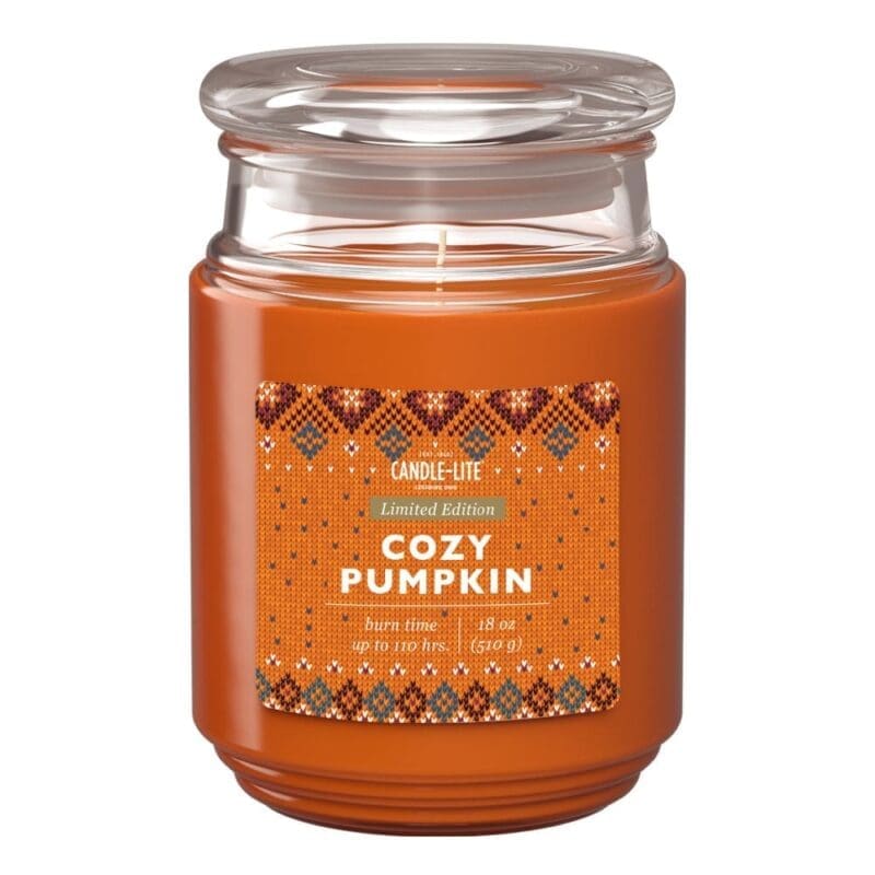 18 oz. Single Wick Cozy Pumpkin Candle - 4 PACK
