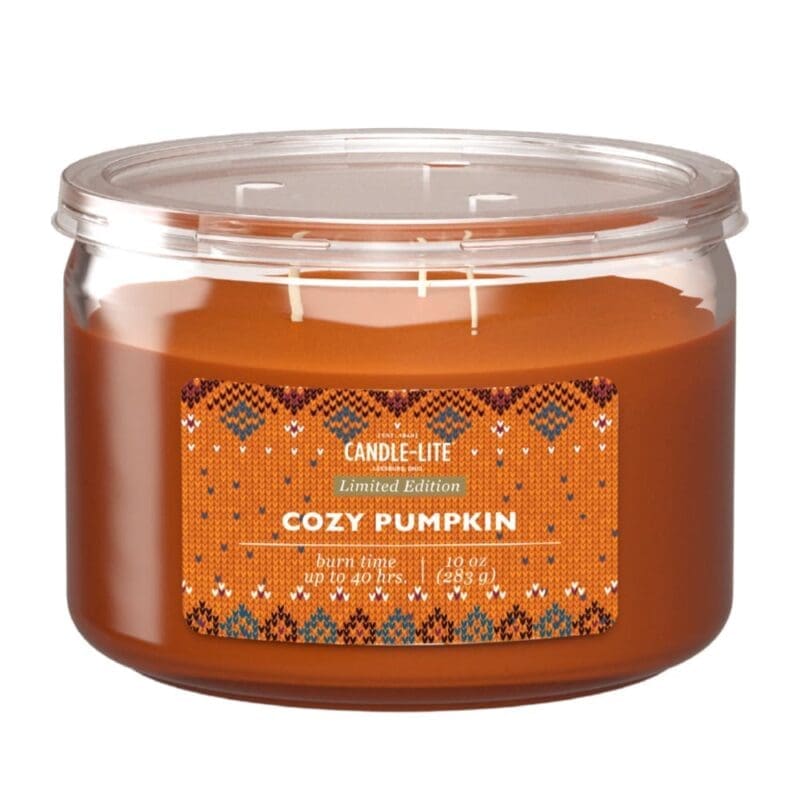 10 oz. 3-Wick Cozy Pumpkin Candle - 4 PACK