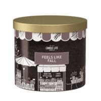 14 oz. 3-Wick Feels Like Fall Candle - 4 PACK