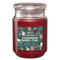 18 oz. Single Wick Evergreen Berry-Tini Candle - 4 PACK