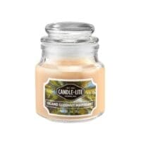 3 oz. Island Coconut Mahogany Candle - 6 PACK