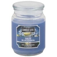 18 oz. Single Wick Salty Blue Citron Candle - 4 PACK