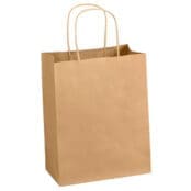 PAPER BAG WITH HANDLES