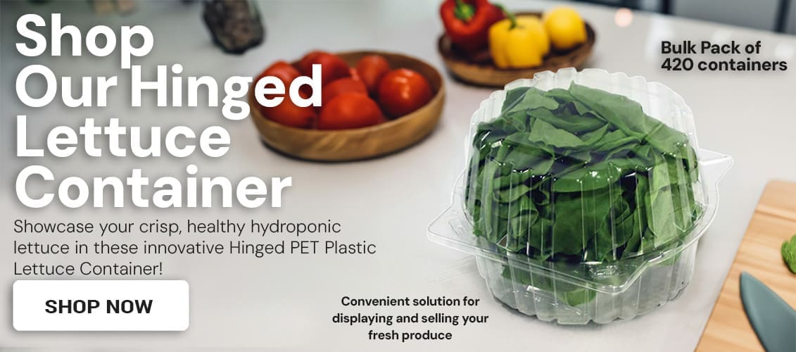 Plastic Disposable Lettuce Container show on table